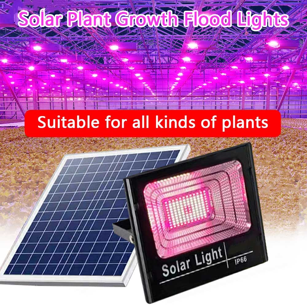 Solar LED Grow Light Full Spec - مراجعة Outdoor Power And Plant وسعره