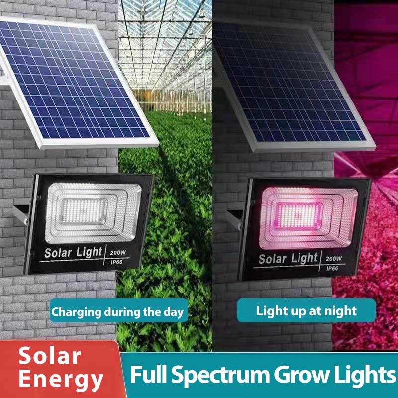 Solar LED Grow Light Full Spec - مراجعة Outdoor Power And Plant وسعره