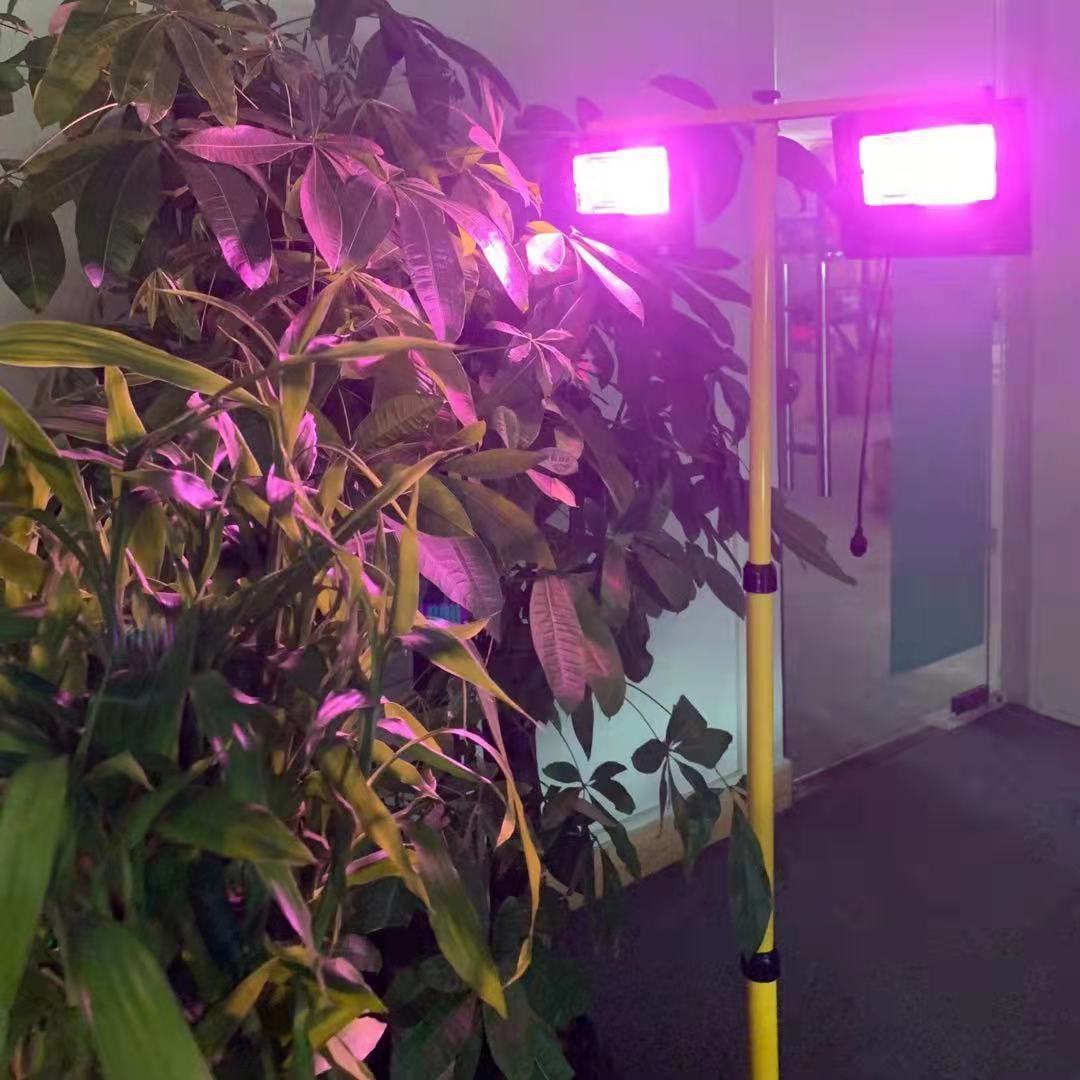 Solar LED Grow Light Full Spec - مراجعة Outdoor Power And Plant وسعره