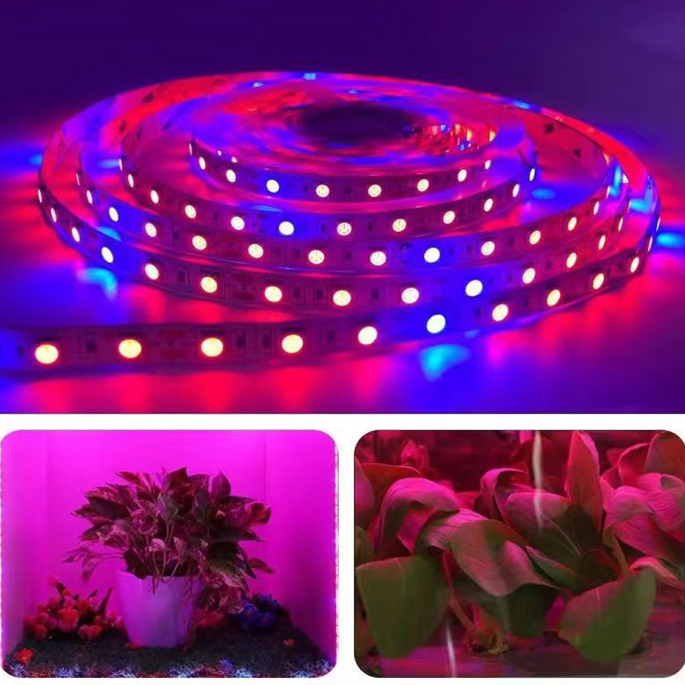 20M LED Grow Light Spectrum DC - مراجعة Outdoor Power And Plant وسعره
