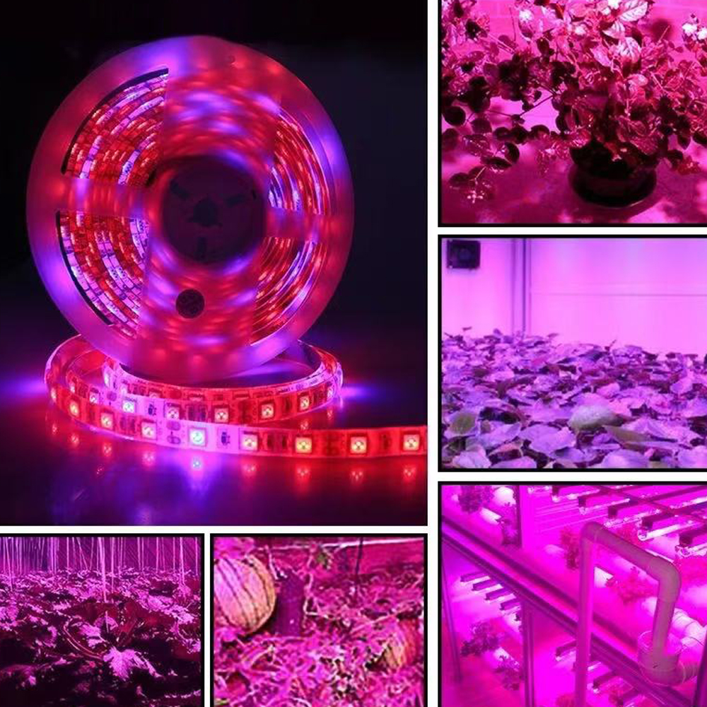 20M LED Grow Light Spectrum DC - مراجعة Outdoor Power And Plant وسعره