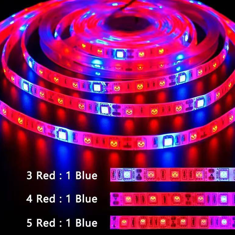 20M LED Grow Light Spectrum DC - مراجعة Outdoor Power And Plant وسعره