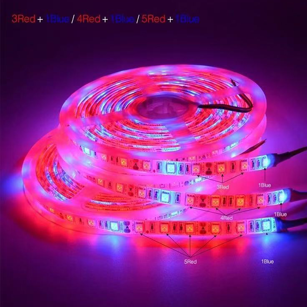 20M LED Grow Light Spectrum DC - مراجعة Outdoor Power And Plant وسعره