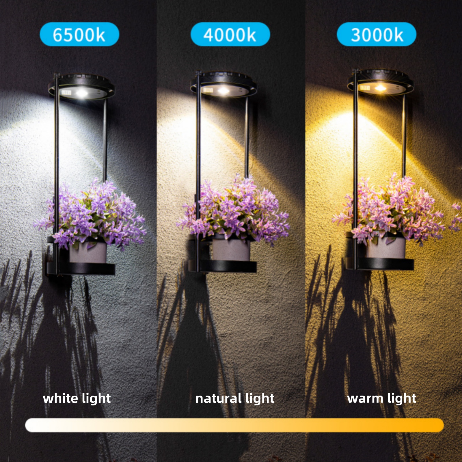LED Solar Garden Lights Outdoo - مراجعة Outdoor Power And Plant وسعره